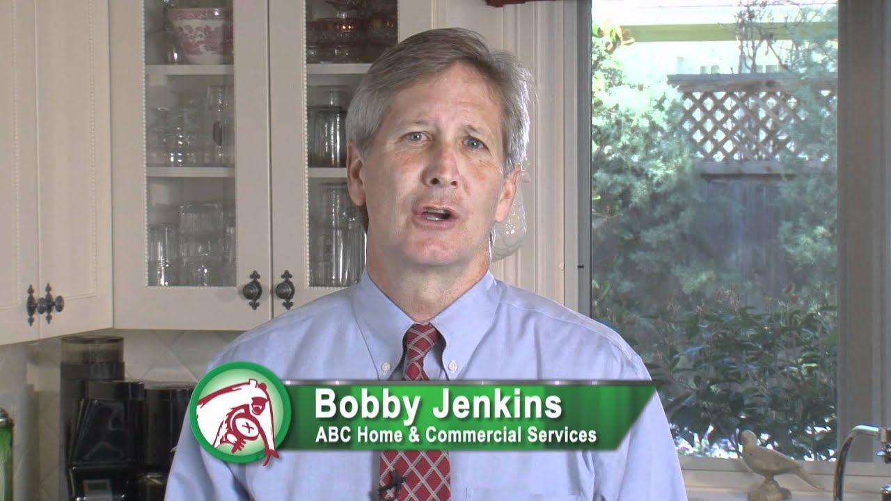 ABC Home & Commercial Services, San Antonio -- Pest Control/Roaches TV ...