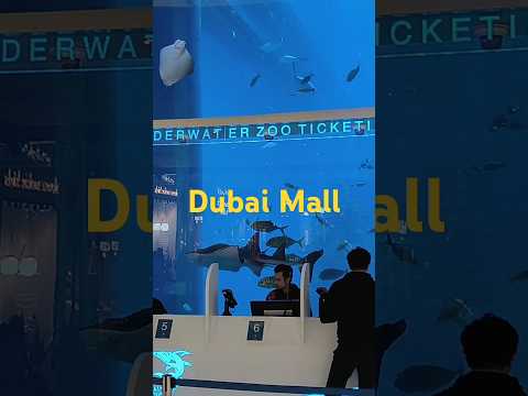 Dubai Mall #viral #trending #shorts #shortvideo #travel #fyp #youtubeshorts #dubai #funny #aquarium