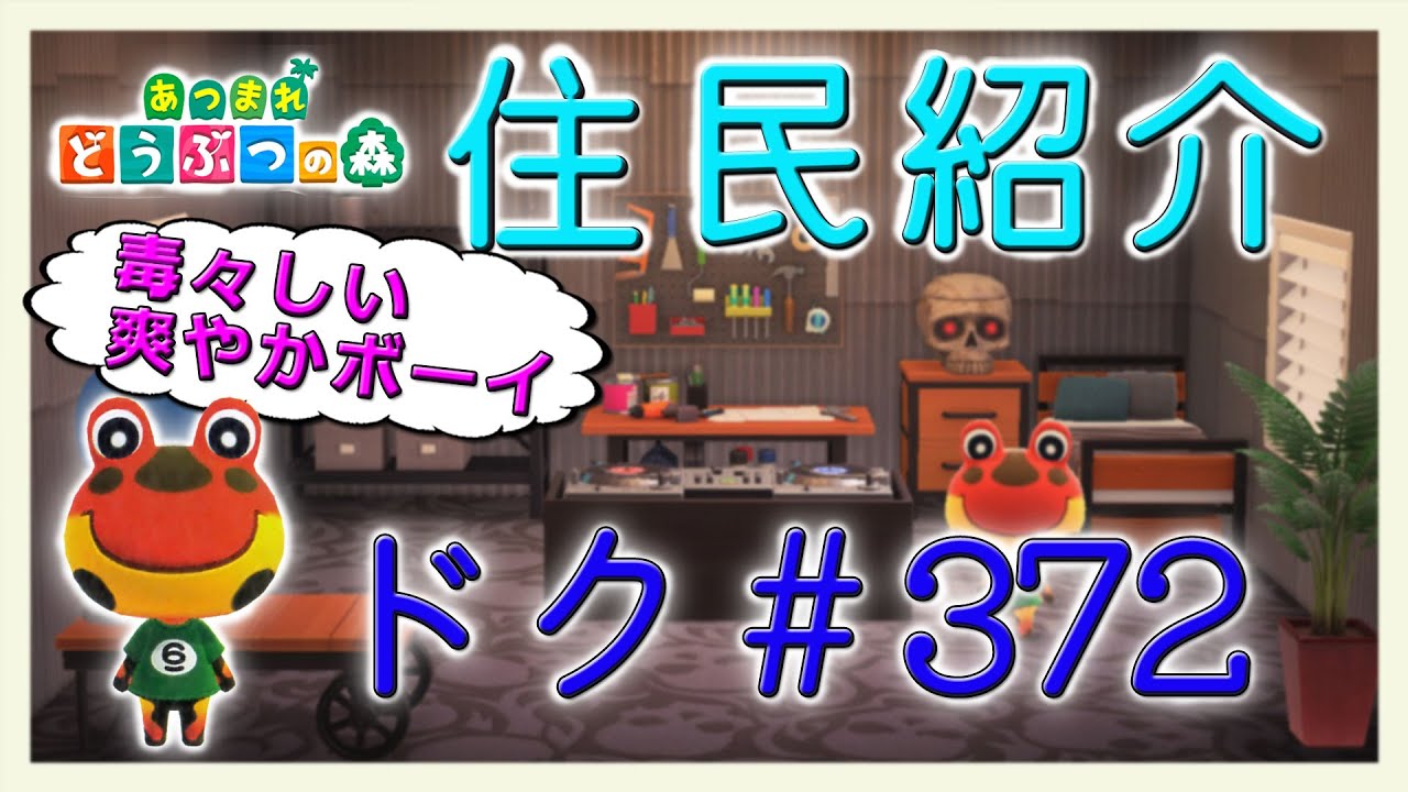 Introducing Animal Crossing Villagers Doc #372 New Horizons Drift