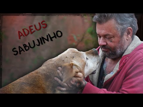 HOMENAGEM AO SABUJINHO: CELEBRANDO CADA MOMENTO VIVIDO! | A CASA DOS BICHOS