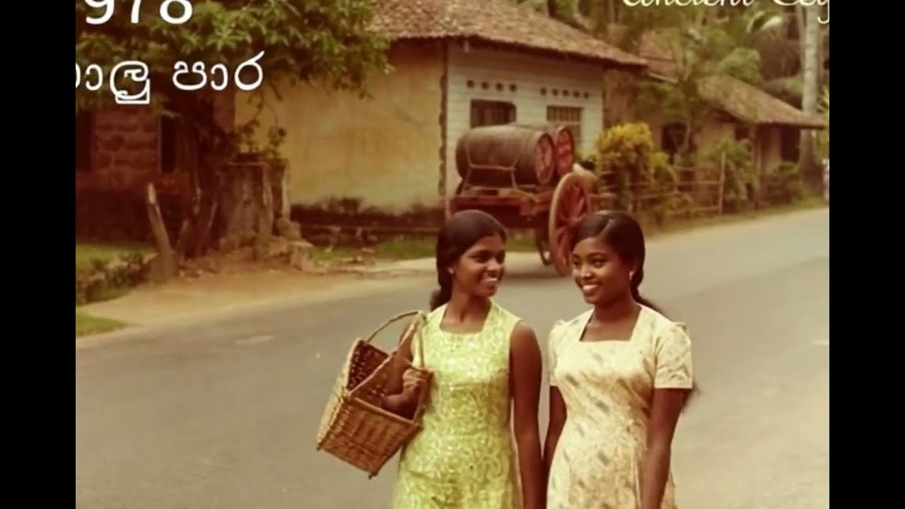 ✅ Rare 1978 Footage – Life in Sri Lanka Before the Modern Era