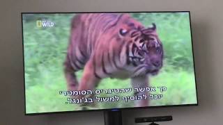 Worlds Deadliest Animals Asia Pacific