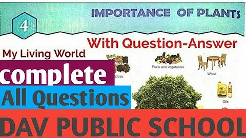 class 3rd chapter 4 |importance of plants| |DAV SCHOOL |GOOD NICE |