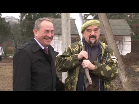 Закладка аллеи в