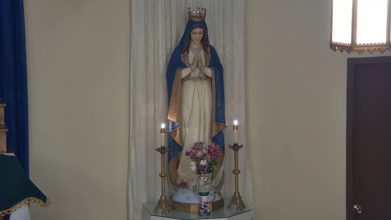 Rosary, November 20, 2024