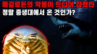 메갈로돈의 악몽이 드디어 잡혔다 | 정말 중생대에서 온 것인가?