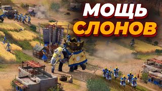 ОБОРОНА СО СЛОНАМИ в Age of Empires IV