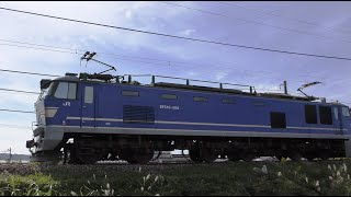 EF510-504牽引高速貨物【HD】信越本線4091ﾚ