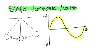 Simple Harmonic Motion | NCEA Level 3 Mechanics