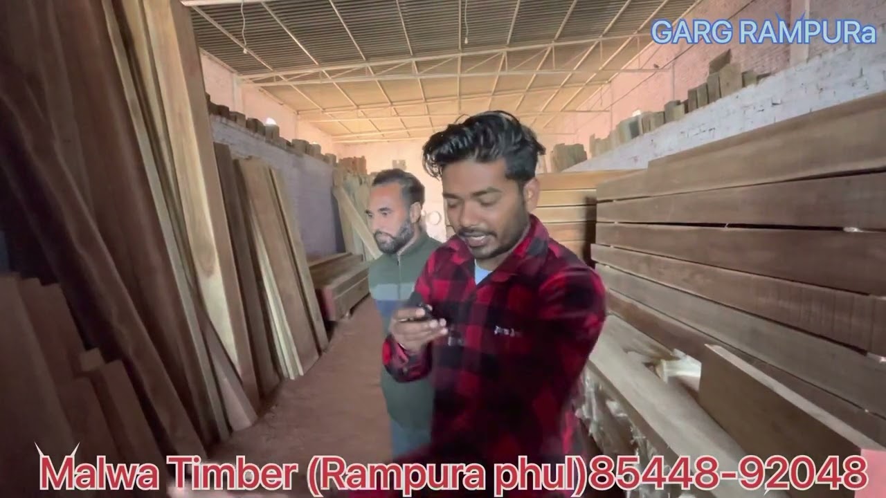 ਸਾਗਵਾਨ ਲੱਕੜੀ ਦਾ ਭੰਡਾਰ || Punjab no 1 Timber store