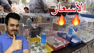سوق الطيور والحيوانات في مدينة جدة | سوق الخمره