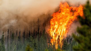 Wildfires rage in Canada