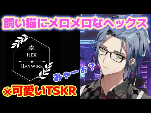 ヘックス ヘイワイヤー/Hex Haywire Hex Haywire【NIJISANJI EN】 - YouTube