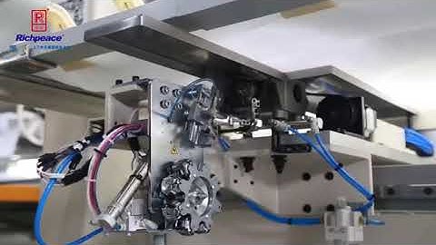 Richpeace single Head Quilting Machine with Auto Bobbin Changer Device