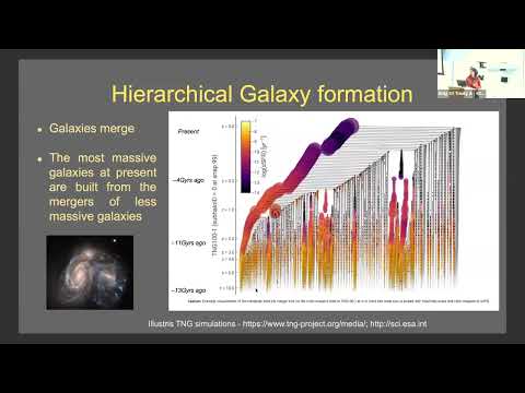 Galaxies Science Collaboration Meeting