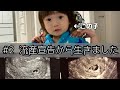 【妊娠】#2 流産宣告から生きた我が子。前代未聞と言われた結果…