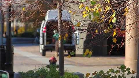 WeTheme - Dispatch Time