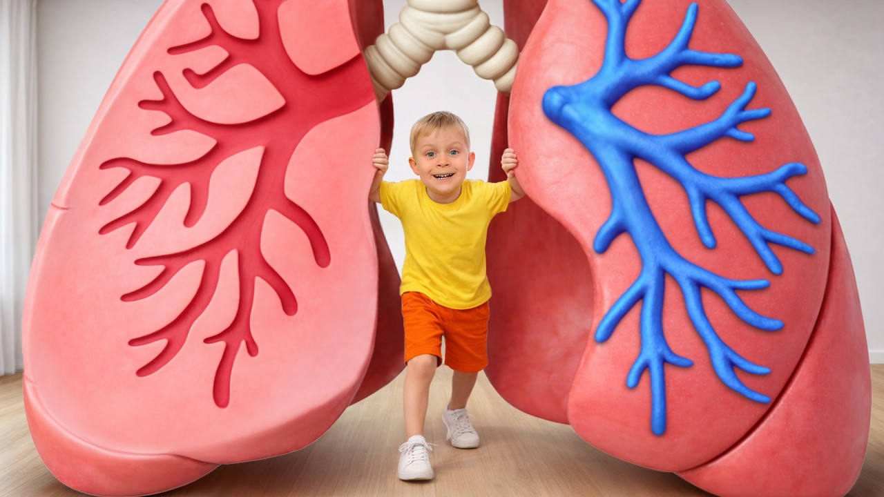 Inside Your Body! Learn Healthy Habits