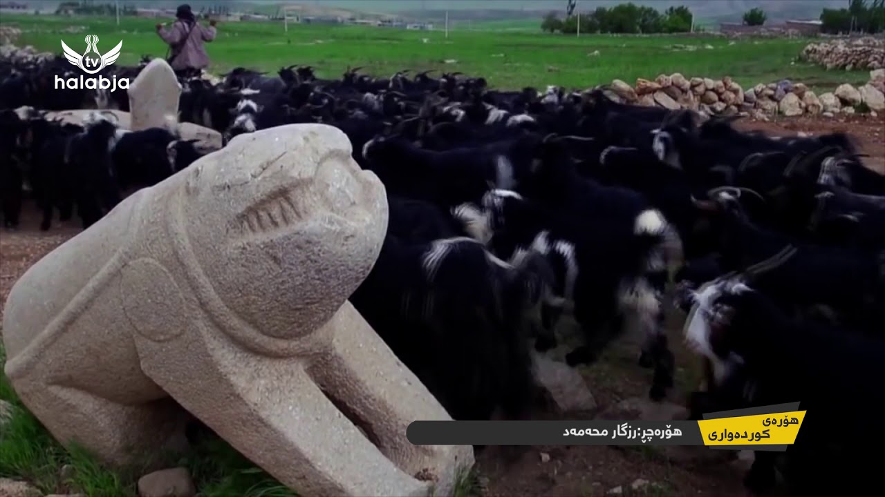 هۆره‌ی كوده‌واری-هۆره‌ چڕ:رزگار محه‌مه‌د