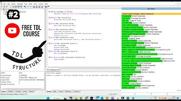 Tally TDL Tutorial 2 - TDL structure @LearnWell