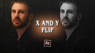 x and y flip ; after effects