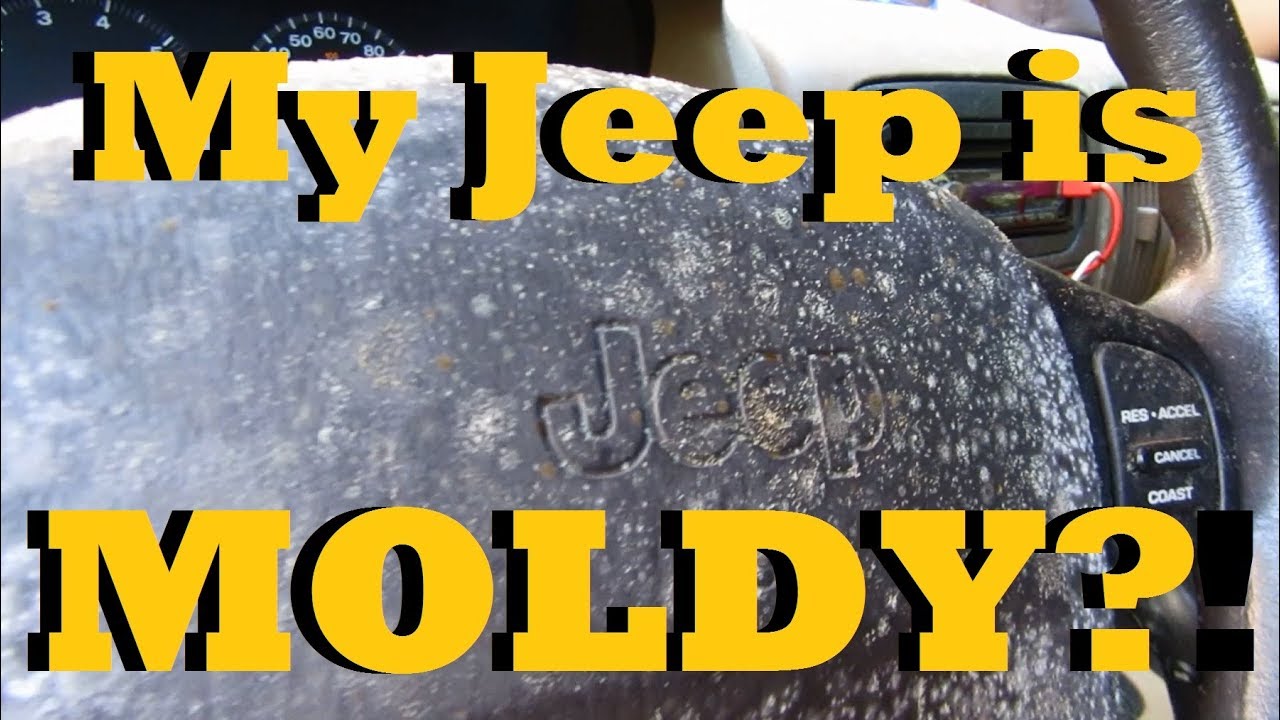 can-a-moldy-vehicle-be-saved-youtube