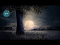 Anemone - Baby Only You I