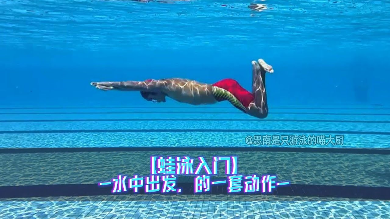 蛙泳入门，水中出发的一套动作（对蝶泳的启蒙作用）