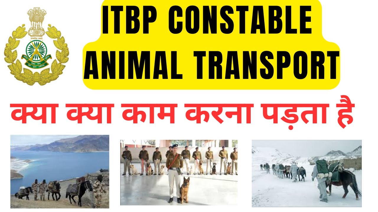 ITBP Constable Animal Transport Work | ITBP Constable animal transport me kya kam karna hota hai |