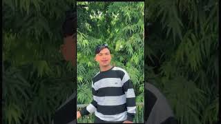 Nhi Kono Tor Le Sundariyacgsong cgfamily cgfam cgfancgartistcgtrending Cgboy cgworld