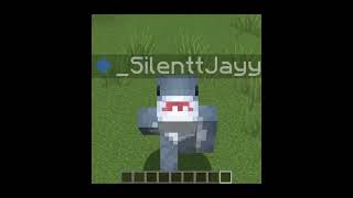My application to the eclipse smp