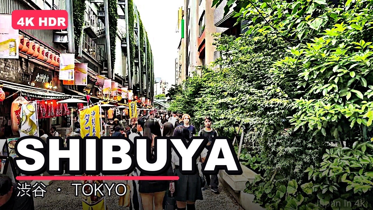 Shibuya Walk - Tokyo,Japan 2024, a frame from the walk
