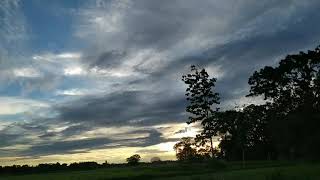 I captured a wonderful beauty of the lotus pond and the sky।। ☁️💚 think you will like it।।😊