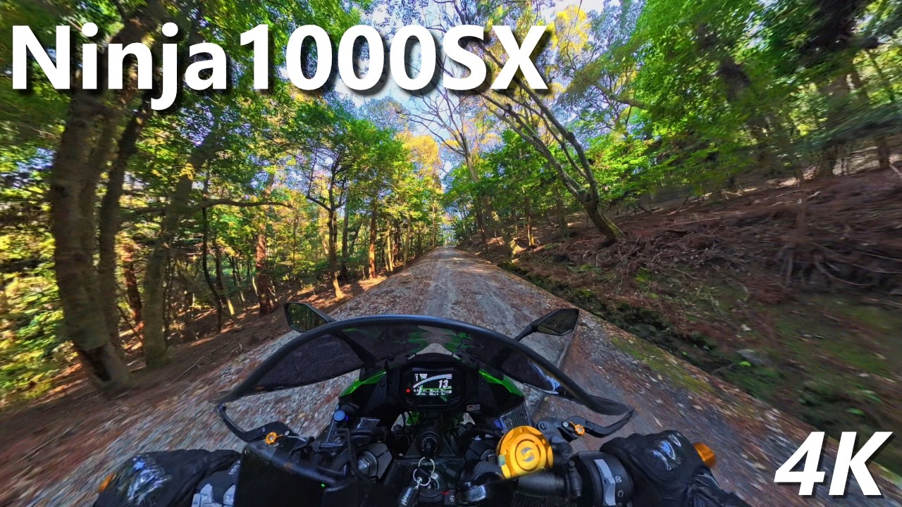 【Ninja1000SX】砂利道だけど春日山原始林を走る【4K】