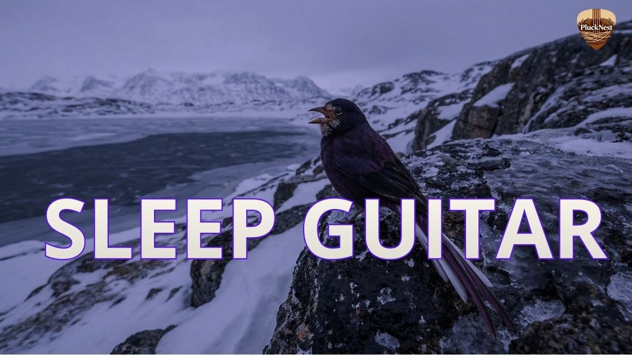 🎸Relaxing Guitar for Sleep | Winter Bird Sounds & Snowy Beach