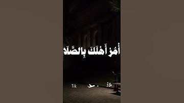 تلاوة هادئة المنشاوي #اكسبلور #المصحف #تلاوة_خاشعة #لايك #قران_كريم #المنشاوي #quran #ترند