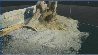 RealityCapture photogrammetry 3d scan of tree roots