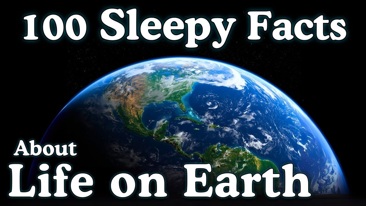The Most Relaxing Facts About Life on Earth to Fall Asleep To