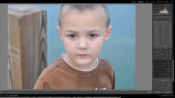 Lightroom Brush Flow and Density