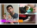A Sakuratinha fugiu - Meu Dia Comum