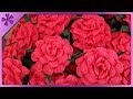 Diy  how to make crepe paper roses  candy technique  eng subtitles  speed up 659