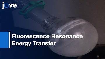 Real-Time Monitoring Of Ligand-Receptor Interactions l Protocol Preview