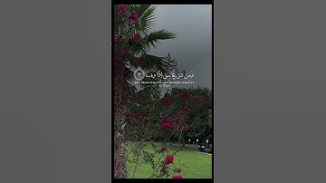 قران كريم ارح سمعك 🥺🥺🥺 #اكسبلور #قران_كريم #fyp #viral #like