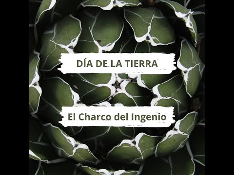 Día de la Tierra y la pausa inesperada