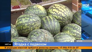 Умерли после отравления арбузом специалист рассказал, на что обратить внимание при выборе ягоды