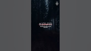 ما سلككم في سقر | شريف مصطفى | سوره المدثر