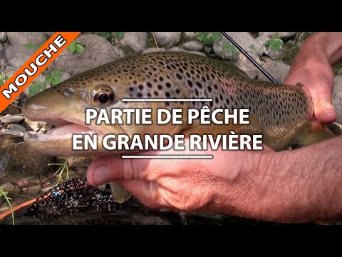 Monter ses premières mouches pour pêcher la truite