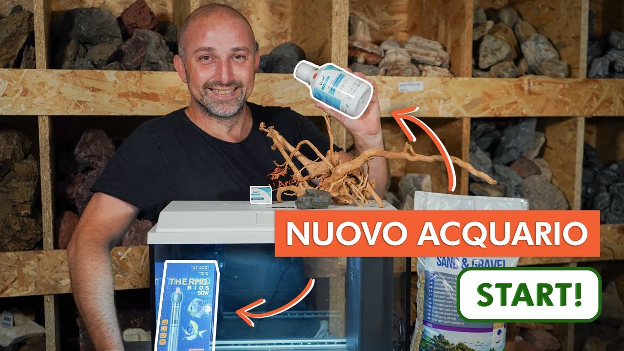 Attivazione e allestimento di un acquario Entry Level - YouTube