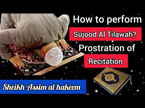 Video: Hur många prostrationer (sajdah) finns det i Koranen?