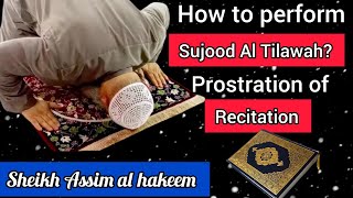 Detailed explanation about how to make Sujood al Tilawah (prostration of recitation) Assim al hakeem screenshot 2